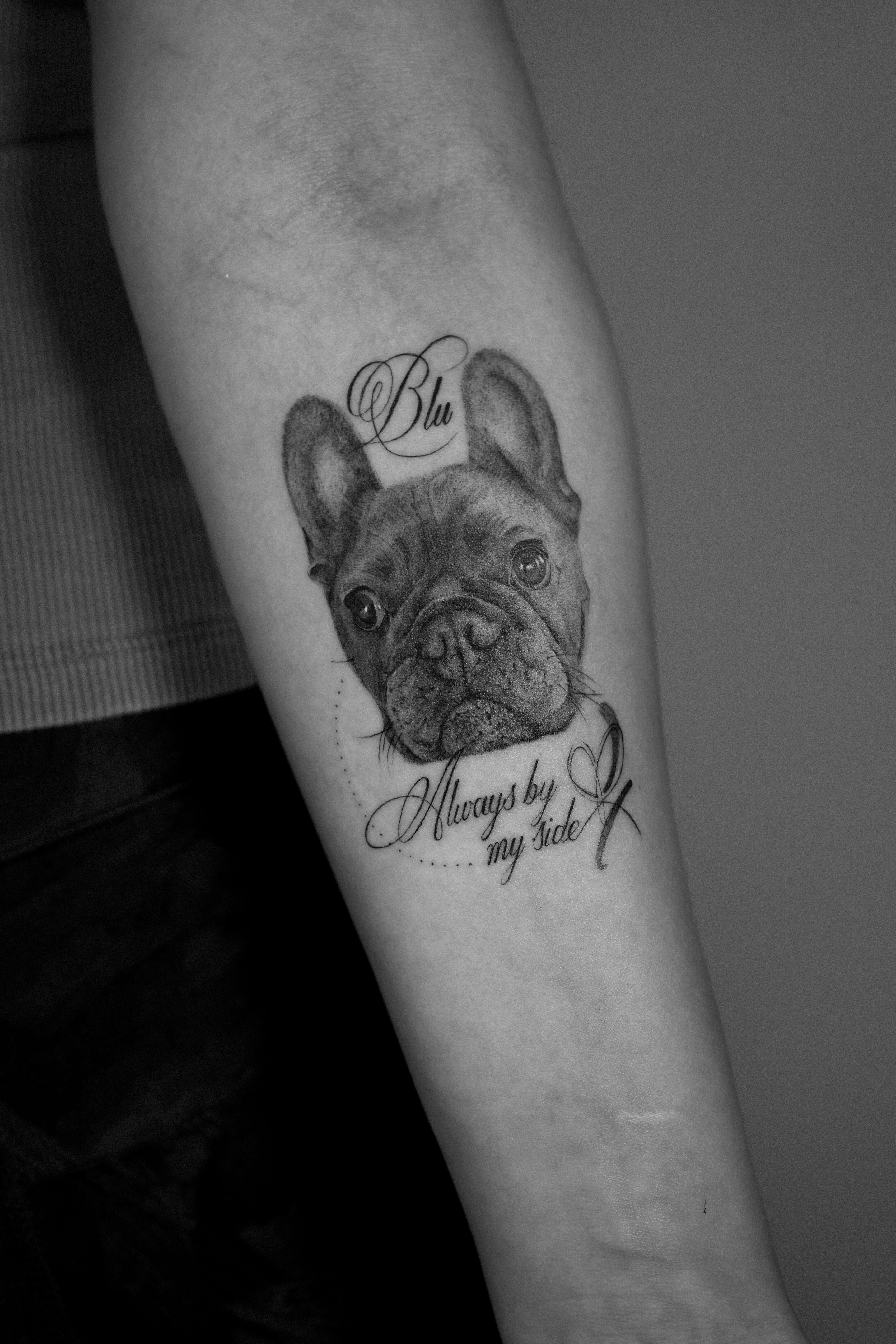 French bulldog portrait — Blu, Always by my side